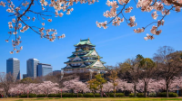 Understanding_Japan__A_Cultural_History