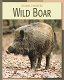Wild_boar