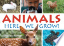Animals_here_we_grow_