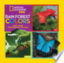 Rainforest_colors