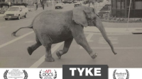 Tyke_Elephant_Outlaw