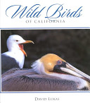 Wild_birds_of_California