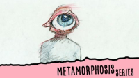 Metamorphosis_Series
