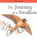 The_journey_of_a_swallow