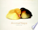 Animal_naps