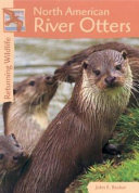 North_American_river_otters