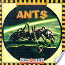 Ants___by_Susan_Ashley