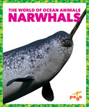 The_world_of_ocean_animals__Narwhals