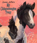 My_Chincoteague_pony