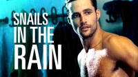 Snails_in_the_Rain
