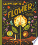 What_s_inside_a_flower___and_other_questions_about_science___nature