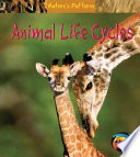 Animal_life_cycles
