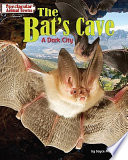 The_bat_s_cave