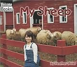 My_sheep