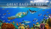 Great_Barrier_Reef_4K