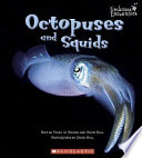 Octopuses_and_squids
