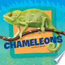Get_to_know_chameleons