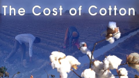 The_cost_of_cotton