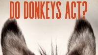 Do_Donkey_s_Act