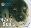Harp_seals