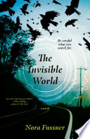 The_invisible_world
