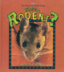 What_is_a_rodent_