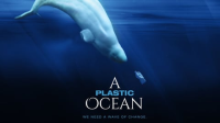 A_Plastic_Ocean