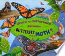 What_s_the_difference_between_a_butterfly_and_a_moth_