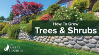 How_to_Grow_Anything__Trees_and_Shrubs
