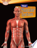 Your_muscular_system