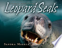 Leopard_seals