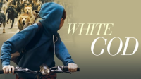 White_God