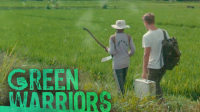 Green_Warriors