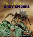 Sneaky__spinning__baby_spiders