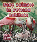 Baby_animals_in_wetland_habitats
