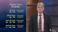 Adjective_Forms_and_Agreement_in_Hebrew