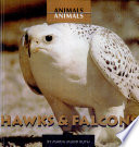 Hawks___falcons