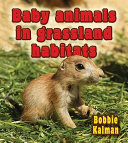 Baby_animals_in_grassland_habitats
