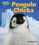 Penguin_chicks
