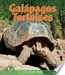 Gal__pagos_tortoises
