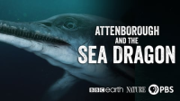 Nature__Attenborough_and_The_Sea_Dragon