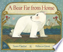 A_bear_far_from_home