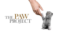 The_Paw_Project