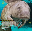 Face_to_face_with_manatees