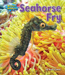 Seahorse_fry
