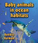 Baby_animals_in_ocean_habitats