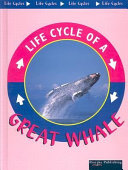 Great_whale