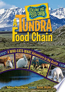 A_tundra_food_chain