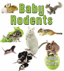 Baby_rodents
