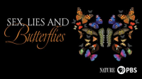 Sex__Lies_and_Butterflies